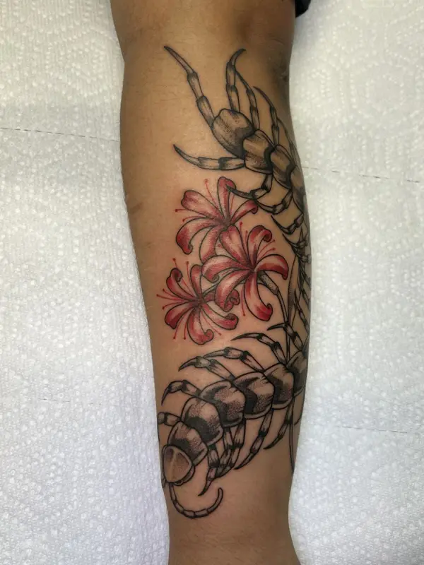Centipede tattoo with red lily flowers, forearm