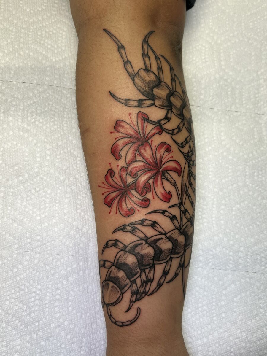 Centipede tattoo