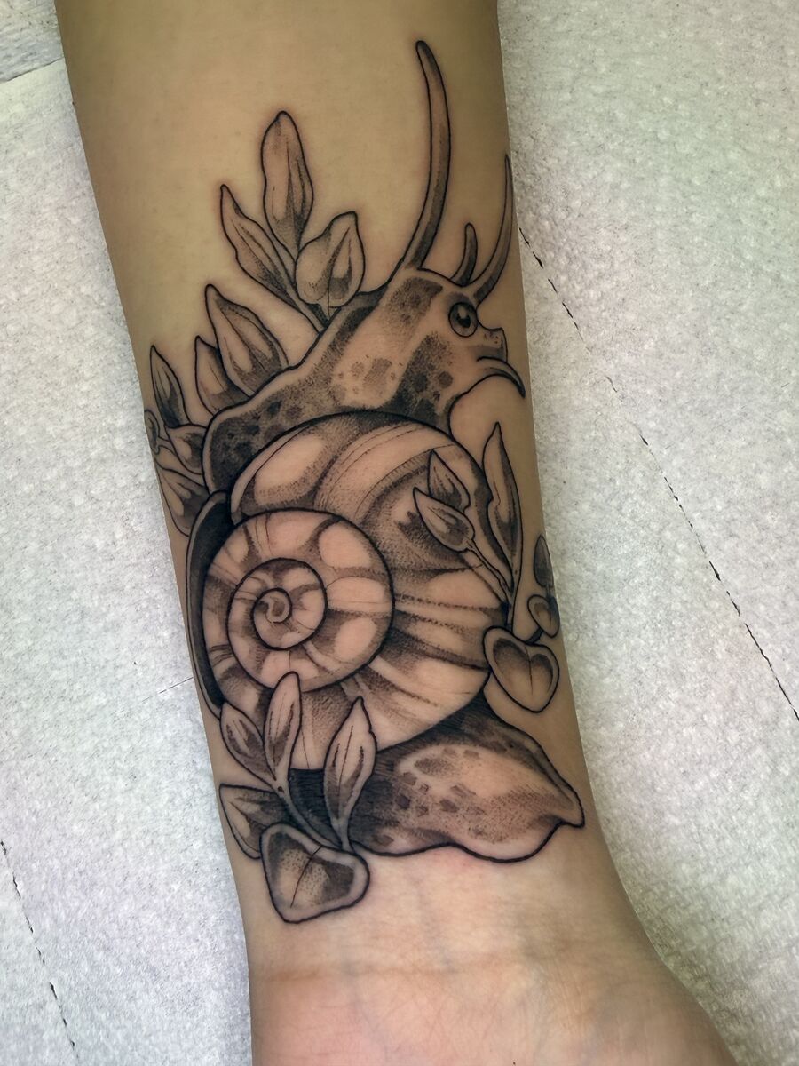 b&g Snail